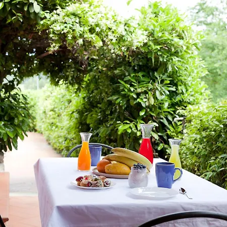 Rosa Nel Chianti Apartment *