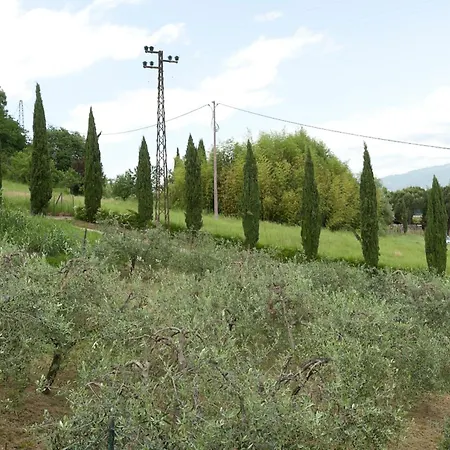 Rosa Nel Chianti