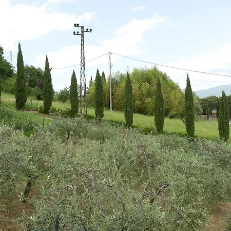 Rosa Nel Chianti